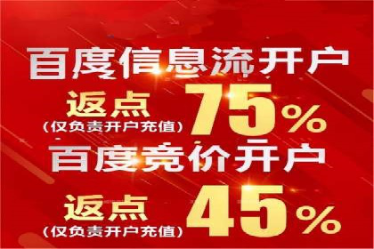 案例研究：SEM开户助力电商快速崛起